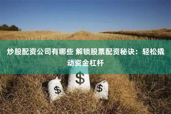 炒股配资公司有哪些 解锁股票配资秘诀：轻松撬动资金杠杆