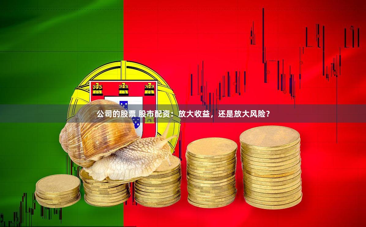 公司的股票 股市配资：放大收益，还是放大风险？