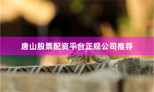 唐山股票配资平台正规公司推荐