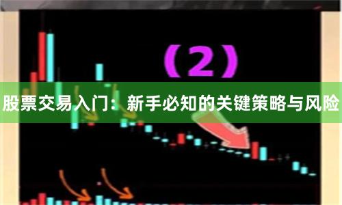 股票交易入门：新手必知的关键策略与风险